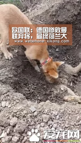星空体育官网