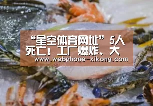星空体育网址