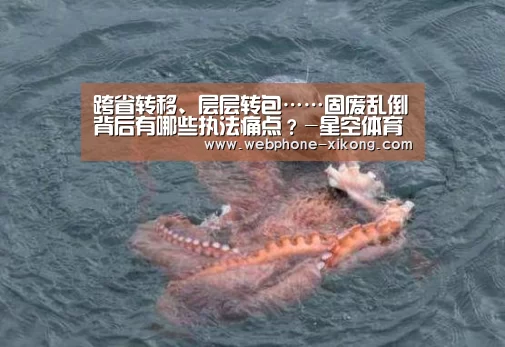 跨省转移、层层转包……固废乱倒背后有哪些执法痛点?-星空体育网址(图3) 星空体育官网
