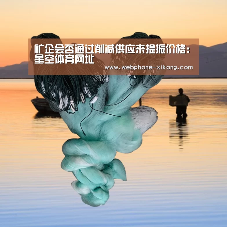 矿企会否通过削减供应来提振价格:星空体育网址(图3) 星空体育官网